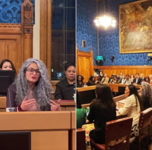 Reflecting on a Momentous Occasion at the UK House of Lords from  Priya Guliani ( Honorable Member of EcoShuMi  )